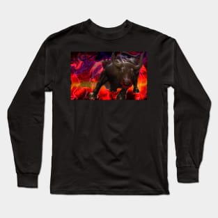 OMI Bull Run – Collaborative Burn Collection Long Sleeve T-Shirt